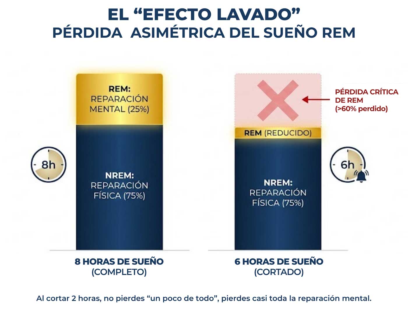 El 'efecto lavado' en el sueño REM