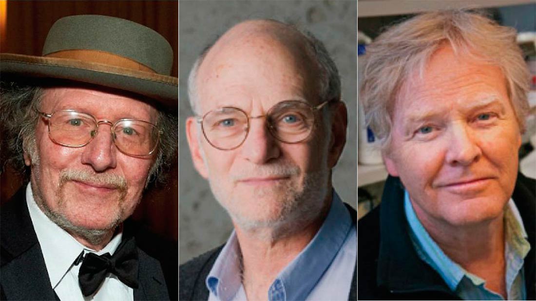 Jeffrey C. Hall, Michael Rosbash y Michael Young, noble de medicina, hablan sobre descanso y salud