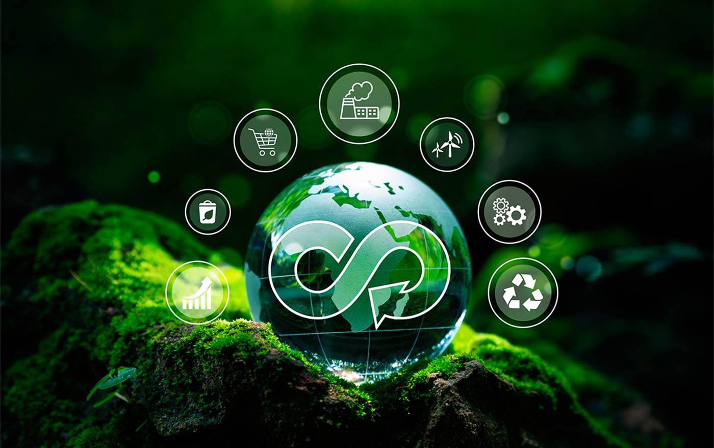 La sostenibilidad y la economía Circular con Suit Delux