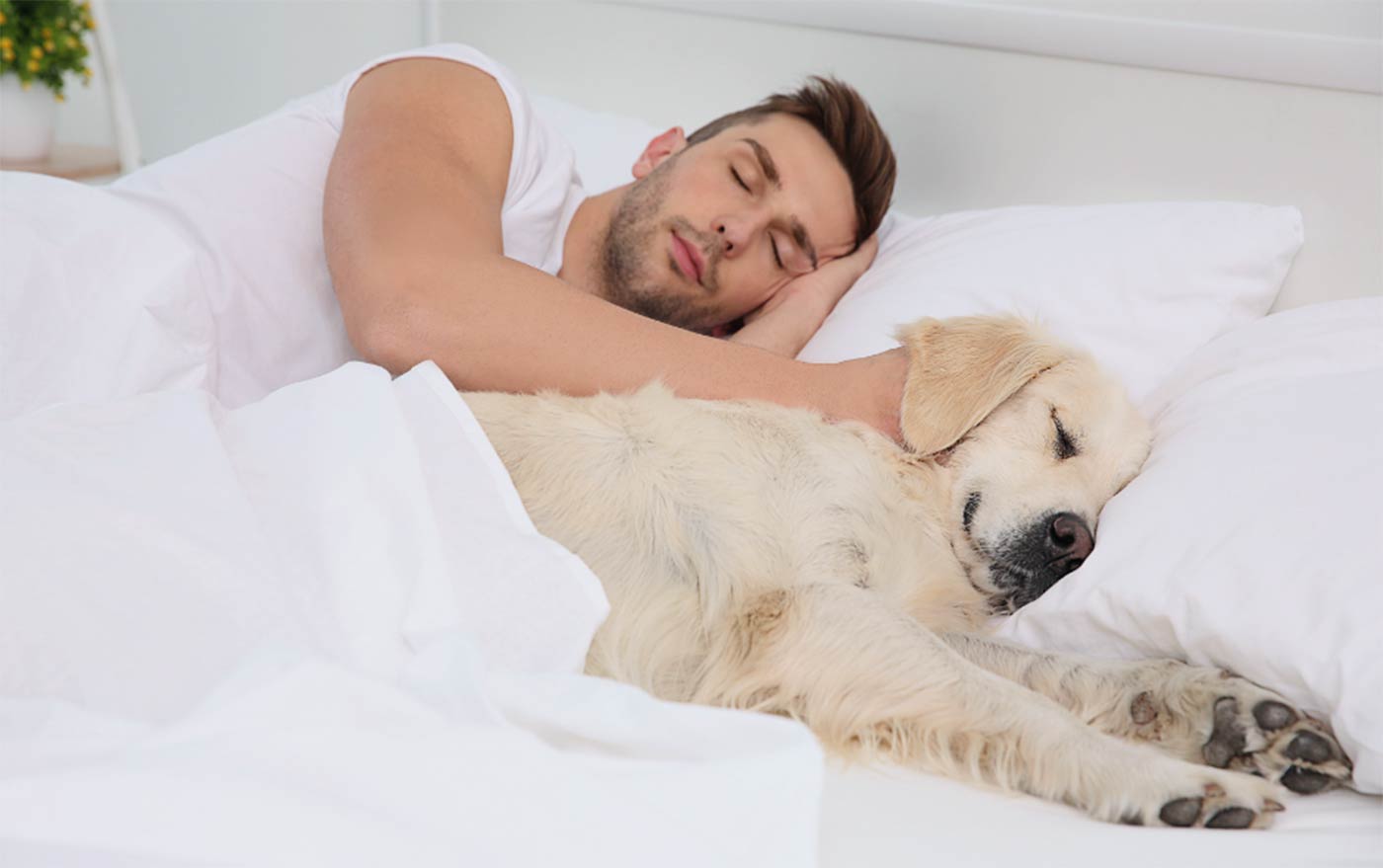 Dormir con tu mascota: Cómo hacerlo sin renunciar al descanso