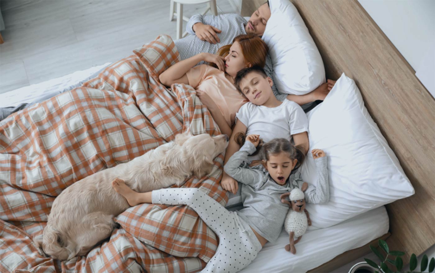 Pequeños placeres: dormir acompañado de tu mascota y despertar con una sonrisa