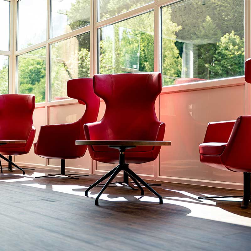 Sillón Softline Havana. Un sillón que abraza el cuerpo y el alma