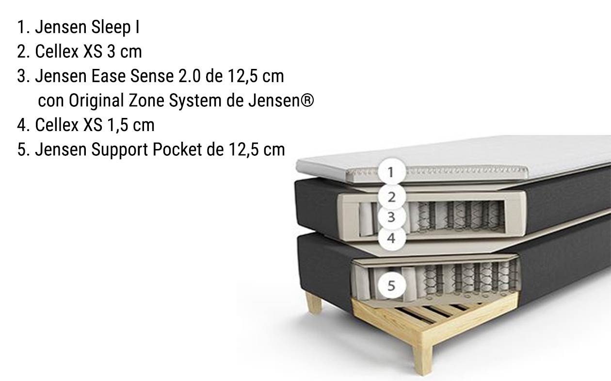 Cama Jensen First Continental LTD