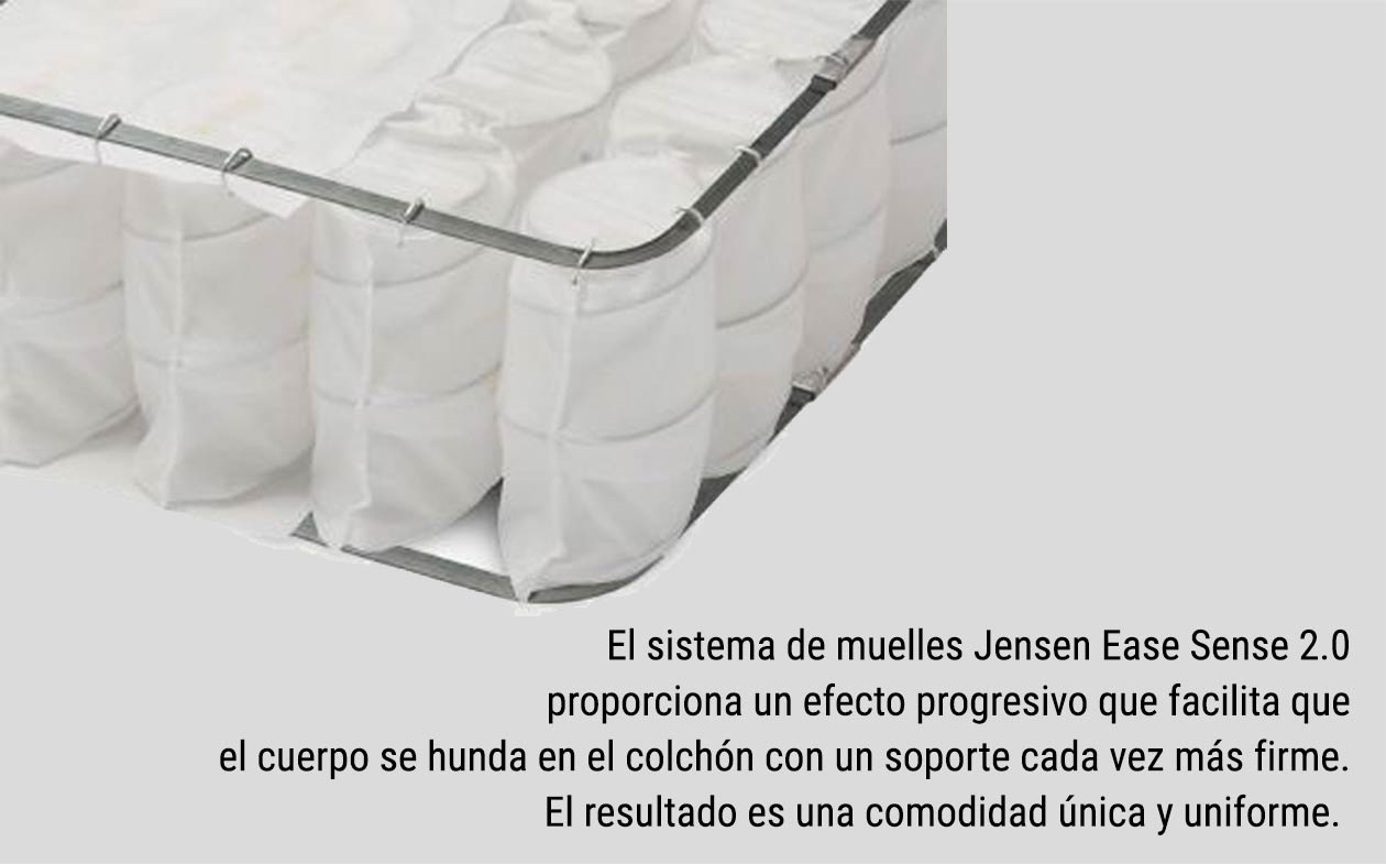 Cama Jensen First Continental LTD